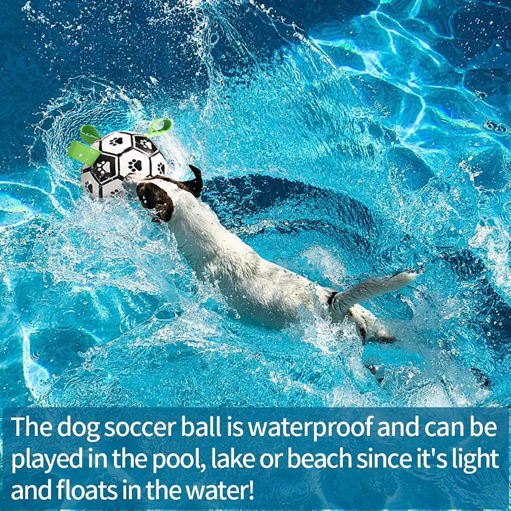 Dog Soccer Ball Toy