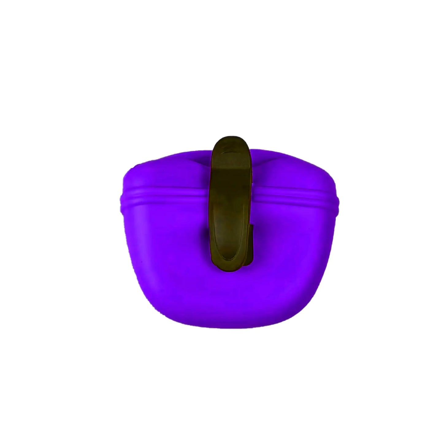 Portable Silicone Pet Training Snack Waist Bag