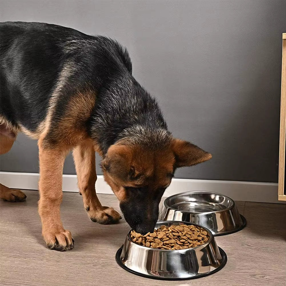 Steel Pet Dog Bowl Feeder Skidproof Anti-Ant Food Water Drink Dishes Feeder Dog Bowls Food Accessories Pet Supplies