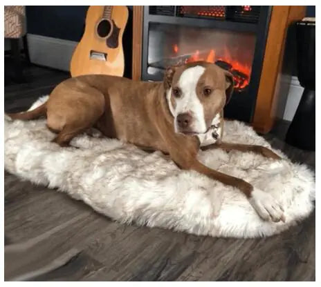 Pet Dog Supplies Faux Fur Thick Dog Mat for Large Dogs